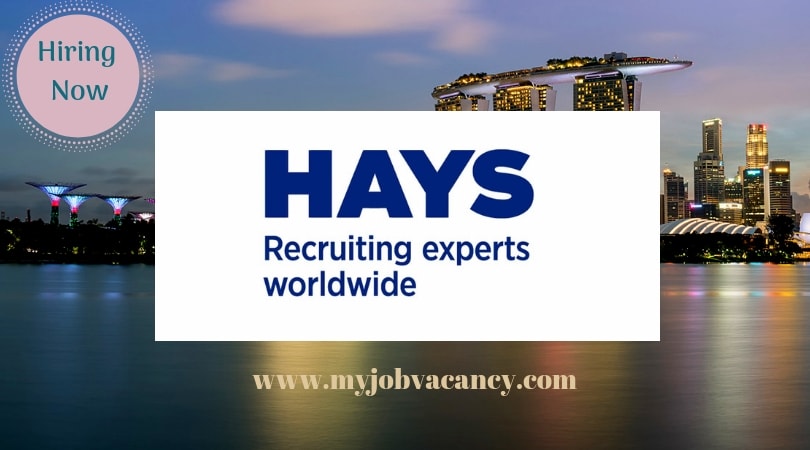 Hays Latest Job Vacancies