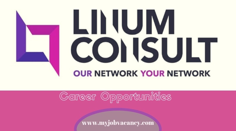 Linum Consult Job Vacancies