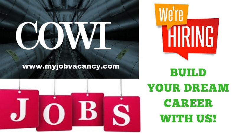 Latest COWI Job Opportunities
