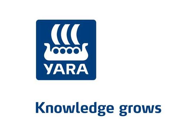 yara latest job vacancies