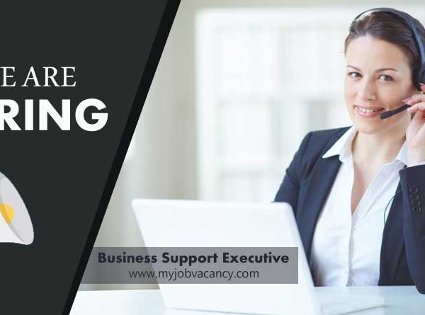 Business Support Executive jobs