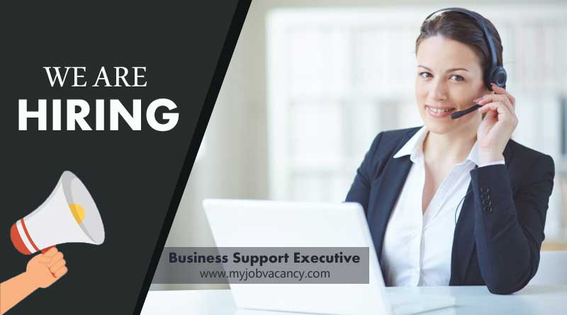 Business Support Executive jobs