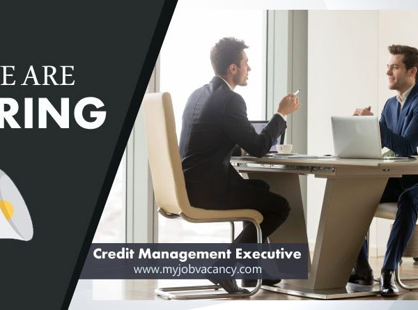 Credit Management Executive jobs