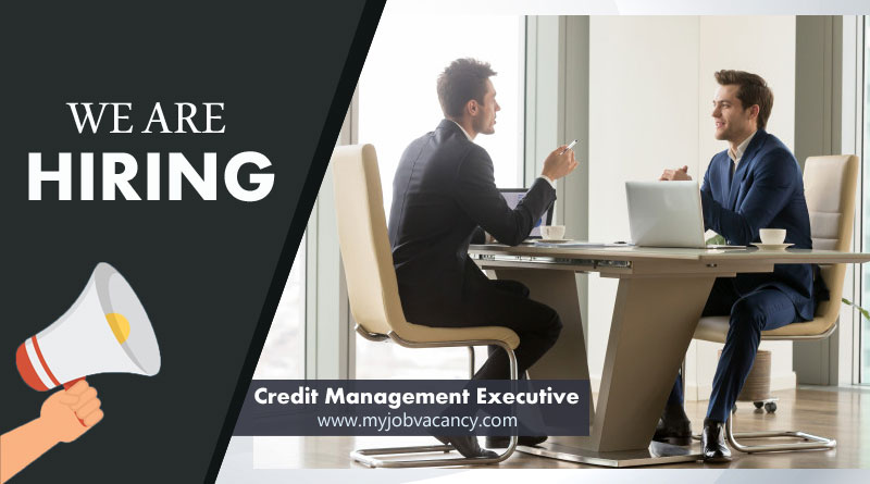 Credit Management Executive jobs