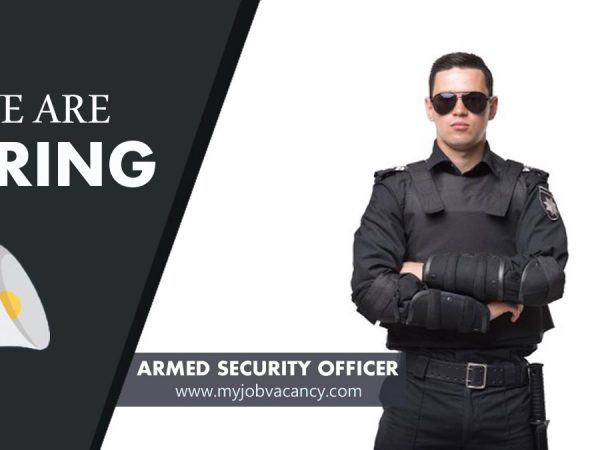 Armed Security Officer jobs