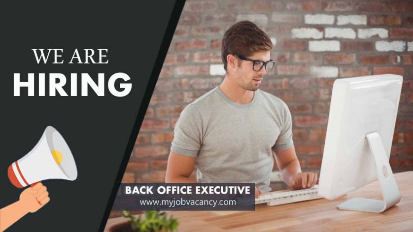 Back Office Executive jobs