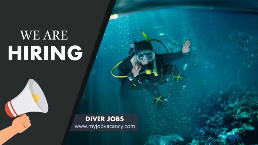 Diver latest job vacancy