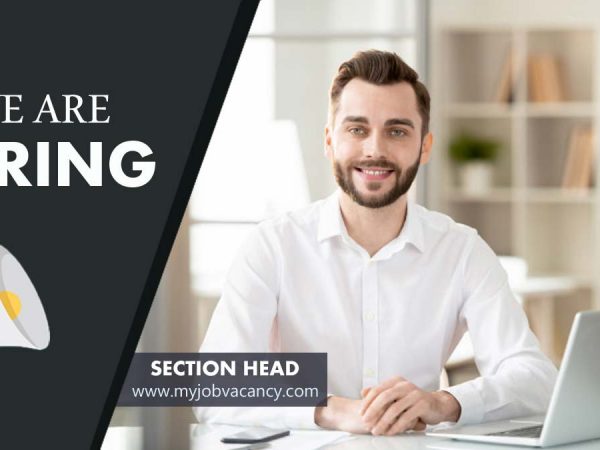 Section Head job vacancy