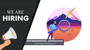 Environmental Consultant Job Vacancy - My Job Vacancy consultant jobs