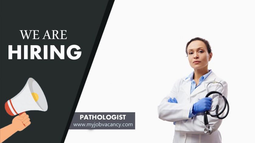 Pathologist latest job vacancy