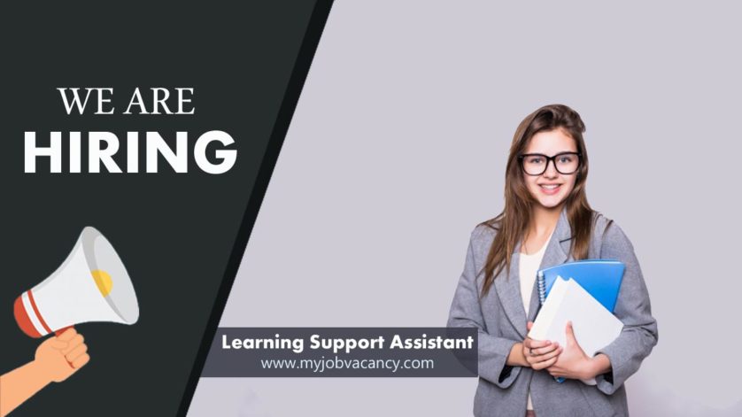 learning support assistant jobs
